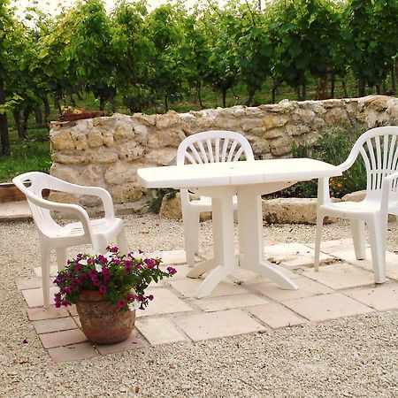 Chambres D'Hotes Domaine De La Rose Des VentsCastelnau-sur-lʼAuvignon エクステリア 写真