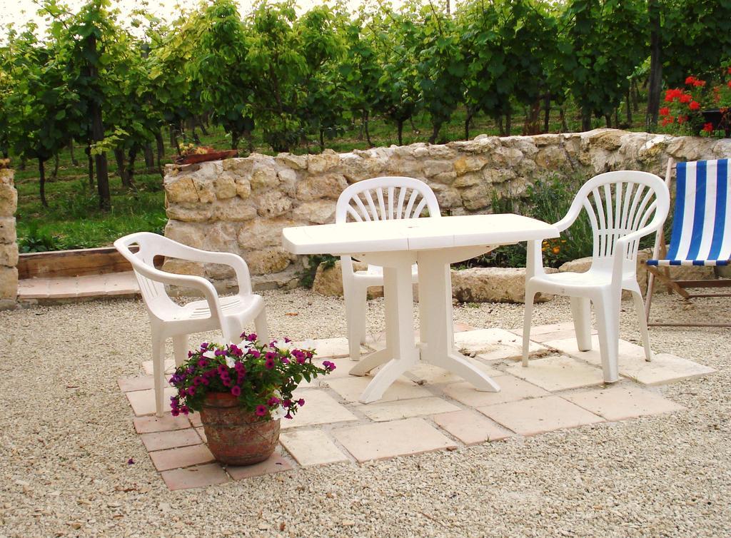Chambres D'Hotes Domaine De La Rose Des VentsCastelnau-sur-lʼAuvignon エクステリア 写真